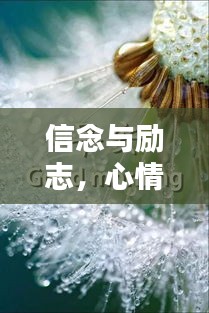 信念與勵(lì)志，心情語錄中的力量源泉與無限希望