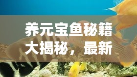 朱唇粉面
