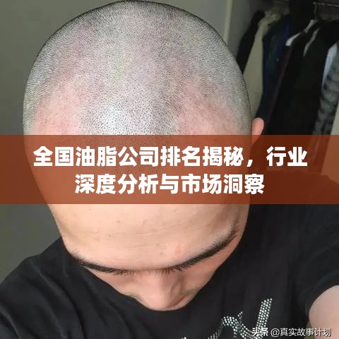 全國油脂公司排名揭秘，行業(yè)深度分析與市場洞察