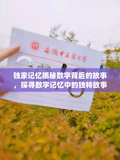 獨家記憶揭秘數(shù)字背后的故事，探尋數(shù)字記憶中的獨特故事