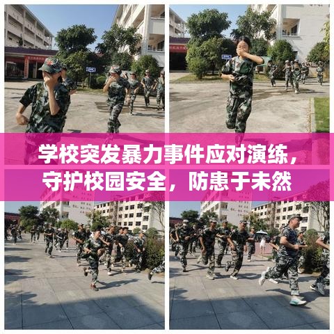 學(xué)校突發(fā)暴力事件應(yīng)對演練，守護(hù)校園安全，防患于未然