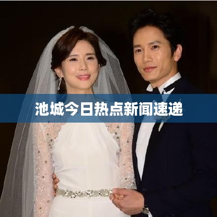 池城今日熱點新聞速遞