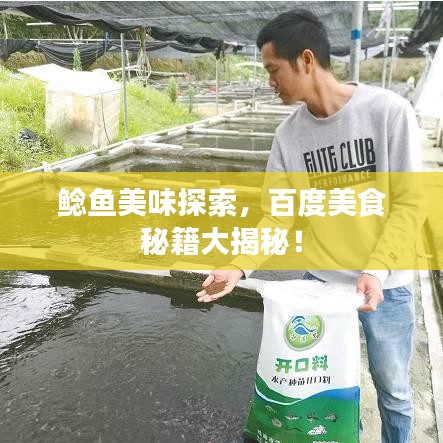 鯰魚美味探索，百度美食秘籍大揭秘！