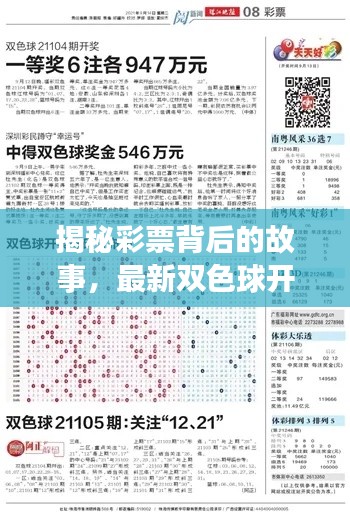 揭秘彩票背后的故事，最新雙色球開(kāi)獎(jiǎng)查詢(xún)今日揭曉！