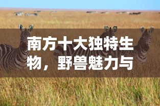 南方十大獨(dú)特生物，野獸魅力與生態(tài)價(jià)值揭秘