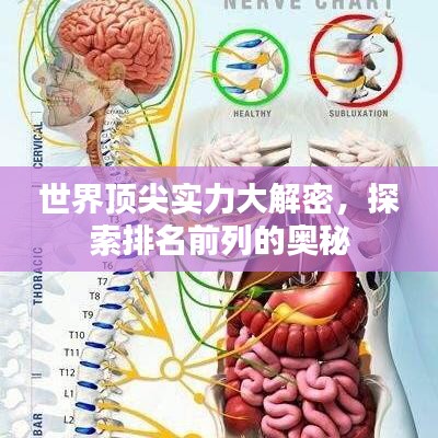 世界頂尖實(shí)力大解密，探索排名前列的奧秘