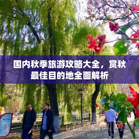 國內(nèi)秋季旅游攻略大全，賞秋最佳目的地全面解析