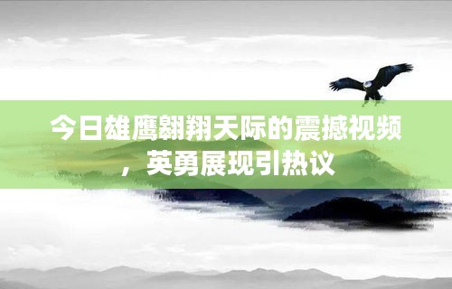 今日雄鷹翱翔天際的震撼視頻，英勇展現(xiàn)引熱議