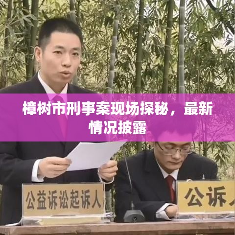 樟樹市刑事案現(xiàn)場探秘，最新情況披露