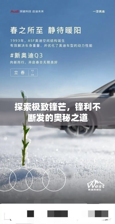 探索極致鋒芒，鋒利不斷發(fā)的奧秘之道
