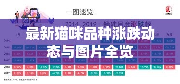 最新貓咪品種漲跌動(dòng)態(tài)與圖片全覽