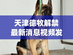 天津德牧解禁最新消息視頻發(fā)布！