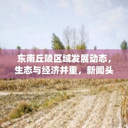 東南丘陵區(qū)域發(fā)展動態(tài)，生態(tài)與經(jīng)濟(jì)并重，新聞頭條大揭秘