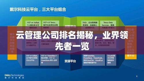 云管理公司排名揭秘，業(yè)界領(lǐng)先者一覽