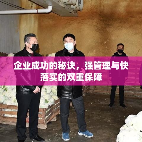 企業(yè)成功的秘訣，強(qiáng)管理與快落實(shí)的雙重保障