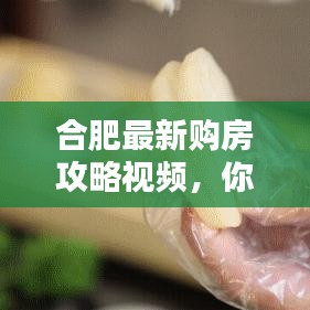 合肥最新購房攻略視頻，你的購房指南全解析