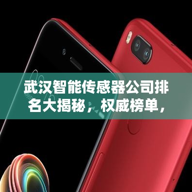 武漢智能傳感器公司排名大揭秘，權(quán)威榜單，不容錯(cuò)過(guò)！