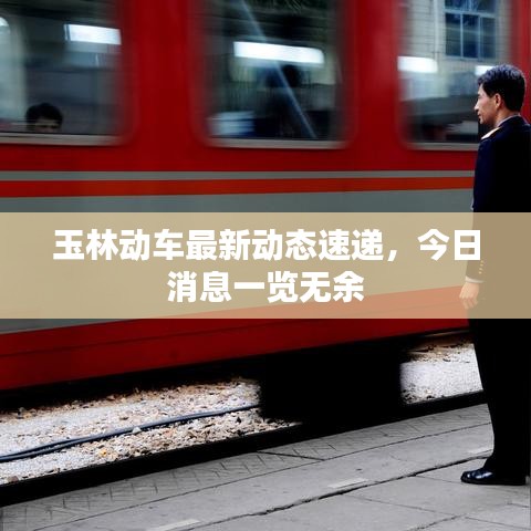 玉林動車最新動態(tài)速遞，今日消息一覽無余