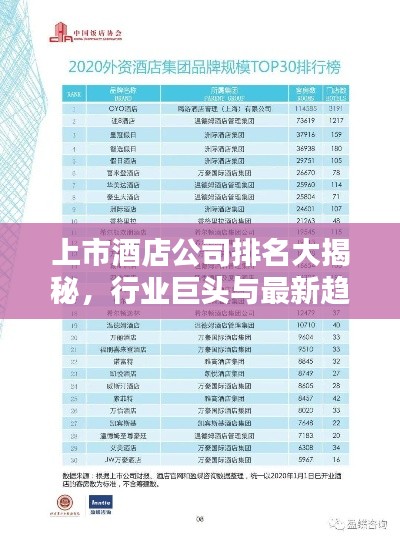 上市酒店公司排名大揭秘，行業(yè)巨頭與最新趨勢速覽