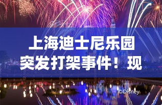 上海迪士尼樂園突發(fā)打架事件！現(xiàn)場(chǎng)混亂，引發(fā)網(wǎng)友熱議