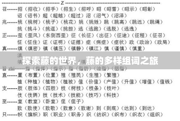 探索藤的世界，藤的多樣組詞之旅