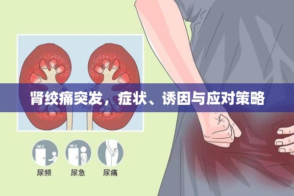 腎絞痛突發(fā)，癥狀、誘因與應(yīng)對(duì)策略