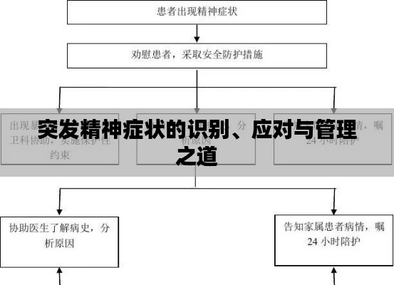 突發(fā)精神癥狀的識(shí)別、應(yīng)對(duì)與管理之道