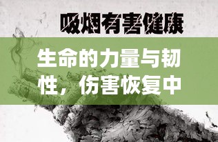 生命的力量與韌性，傷害恢復(fù)中的堅(jiān)韌展現(xiàn)