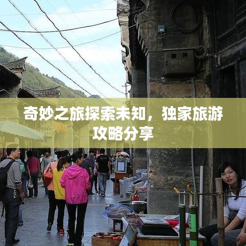 奇妙之旅探索未知，獨(dú)家旅游攻略分享