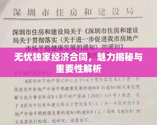 無憂獨家經濟合同，魅力揭秘與重要性解析