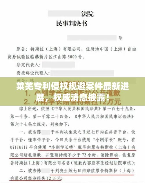 萊蕪專利侵權規(guī)避案件最新進展，權威消息披露！