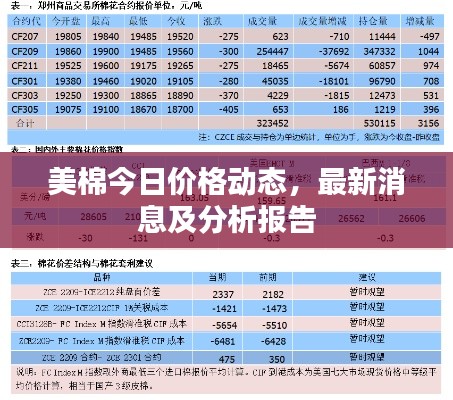 美棉今日價格動態(tài)，最新消息及分析報告