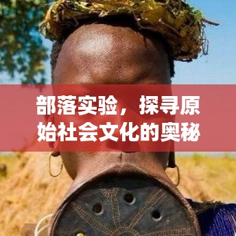 部落實驗，探尋原始社會文化的奧秘之旅