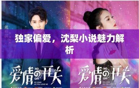 獨家偏愛，沈梨小說魅力解析