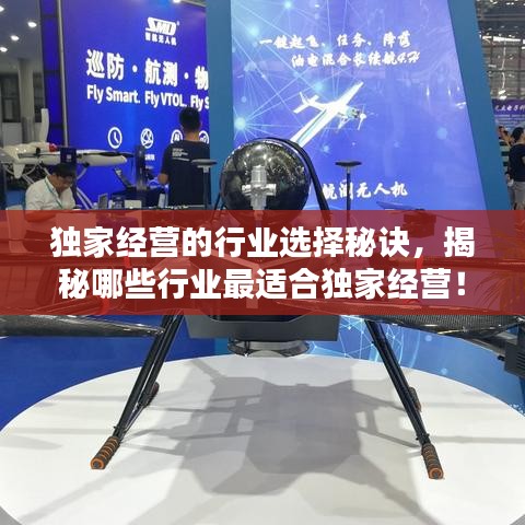 獨家經(jīng)營的行業(yè)選擇秘訣，揭秘哪些行業(yè)最適合獨家經(jīng)營！