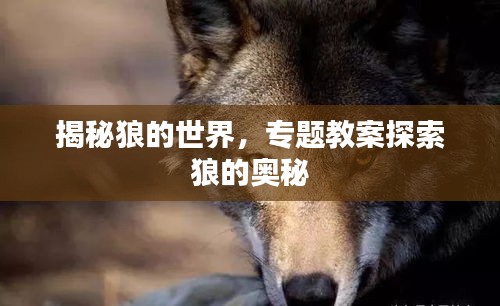 揭秘狼的世界，專題教案探索狼的奧秘