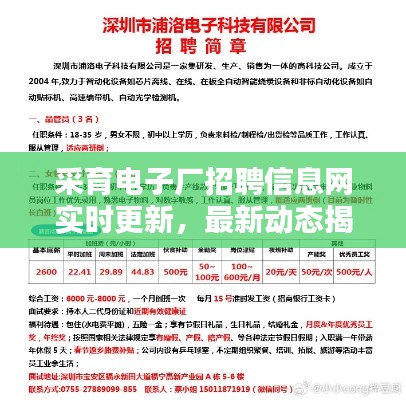 采育電子廠招聘信息網(wǎng)實(shí)時(shí)更新，最新動(dòng)態(tài)揭秘