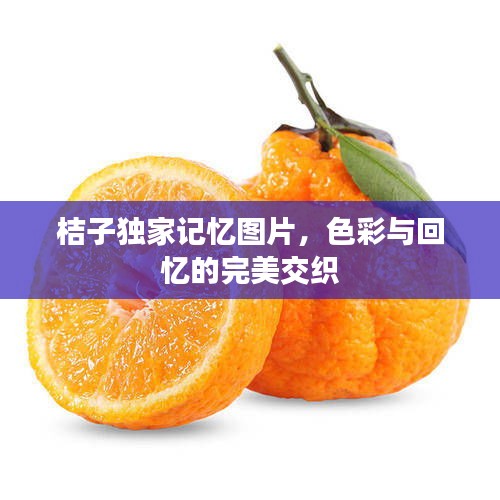 桔子獨(dú)家記憶圖片，色彩與回憶的完美交織