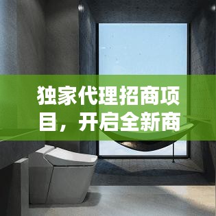 獨(dú)家代理招商項(xiàng)目，開啟全新商業(yè)篇章
