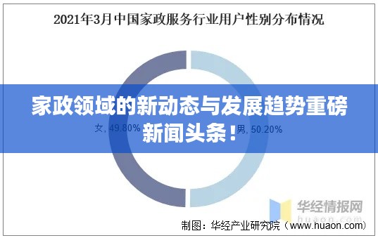 家政領(lǐng)域的新動(dòng)態(tài)與發(fā)展趨勢(shì)重磅新聞?lì)^條！