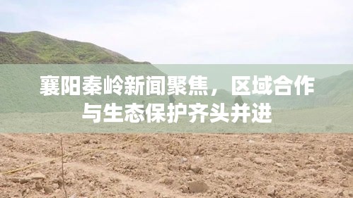 襄陽秦嶺新聞聚焦，區(qū)域合作與生態(tài)保護齊頭并進