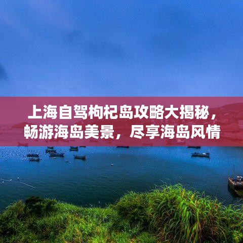 骨瘦如柴