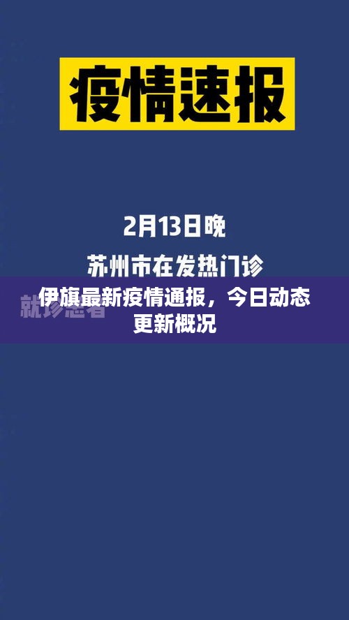 伊旗最新疫情通報，今日動態(tài)更新概況